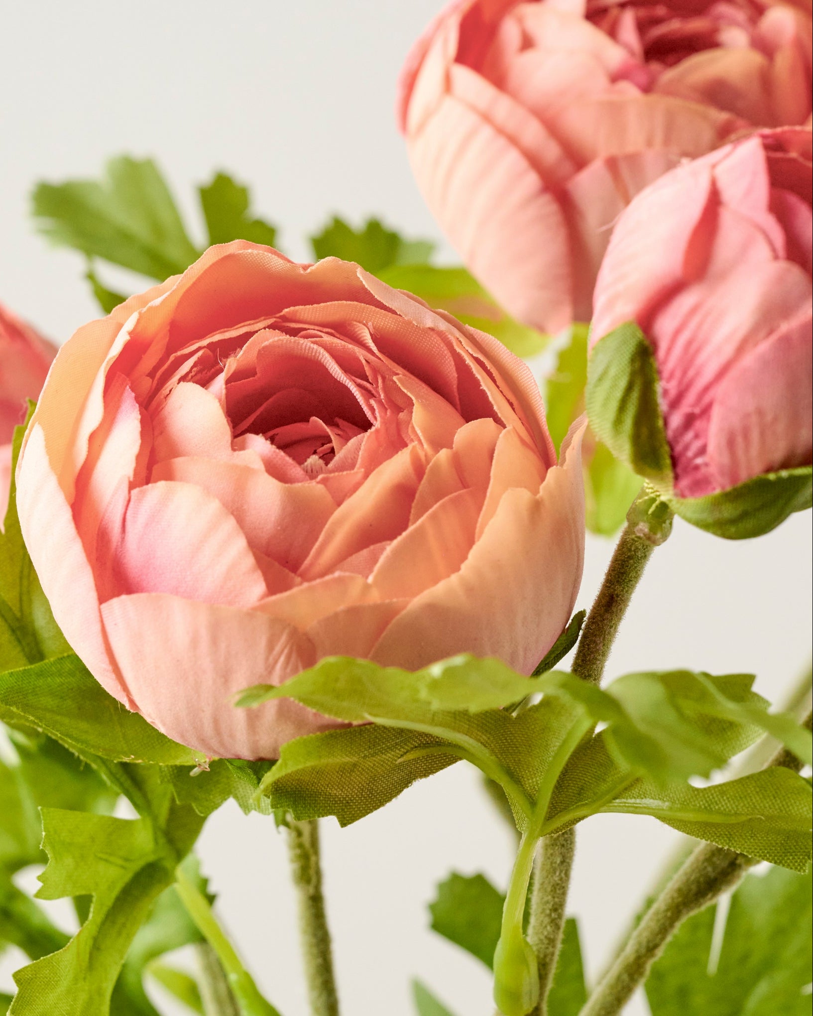 Real Touch Ranunculus Stem