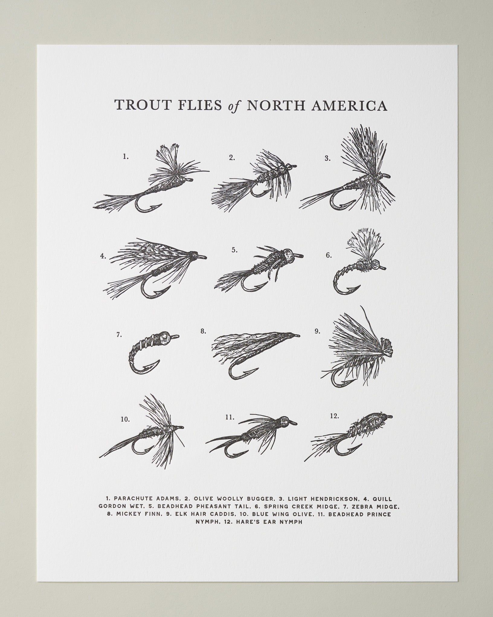 Guide To Trout Flies Print