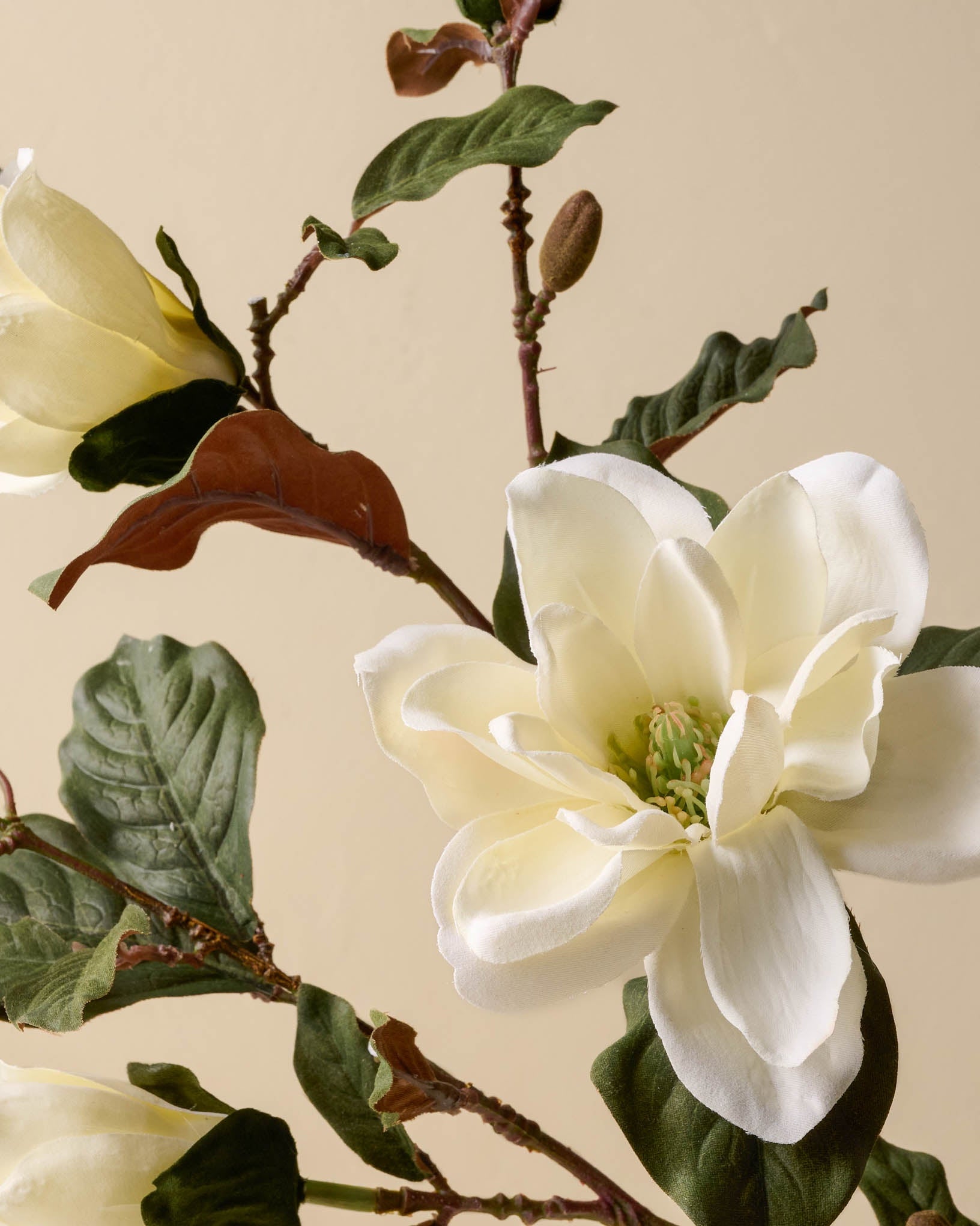 Magnolia Spray