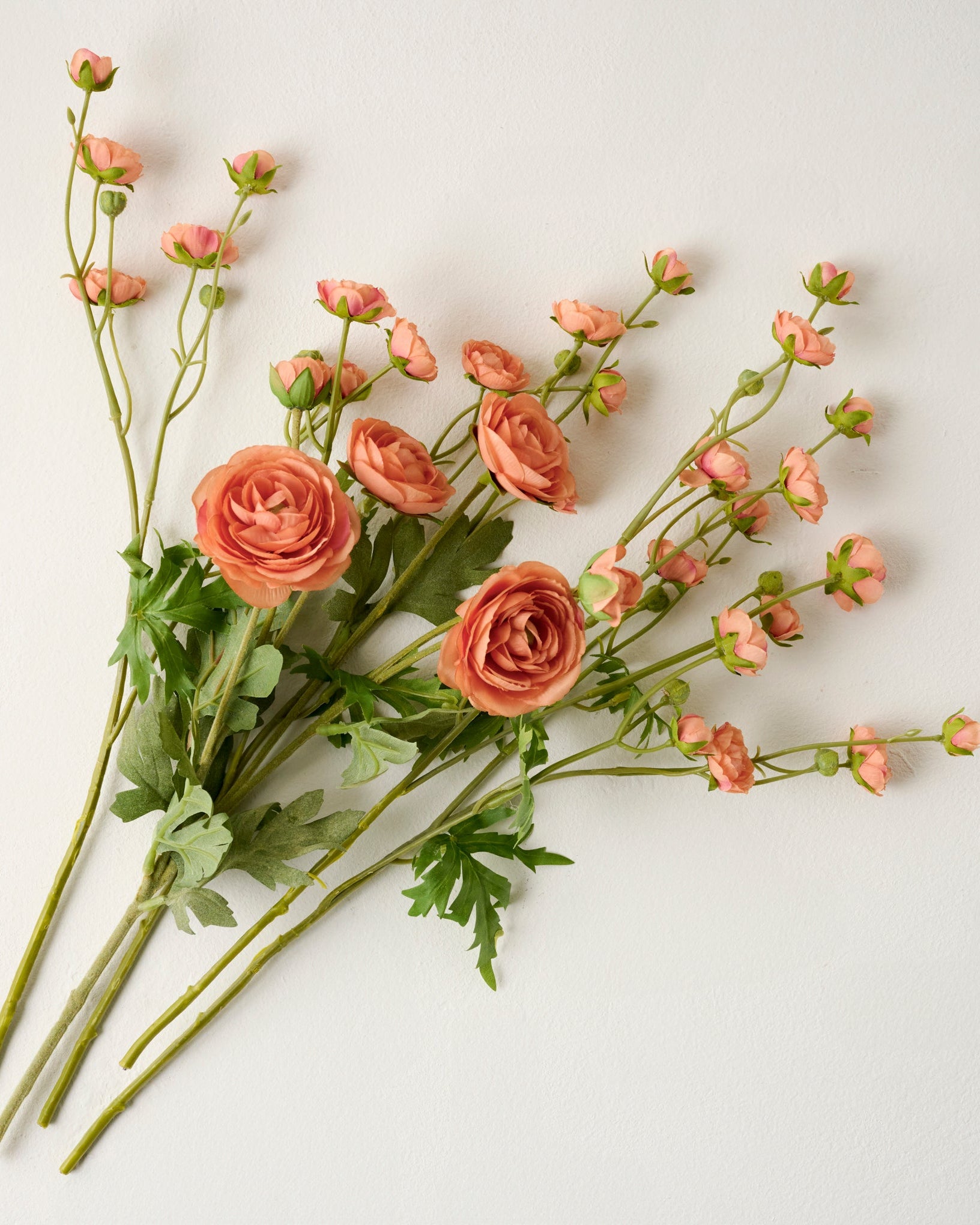 Ranunculus Bloom Bundle