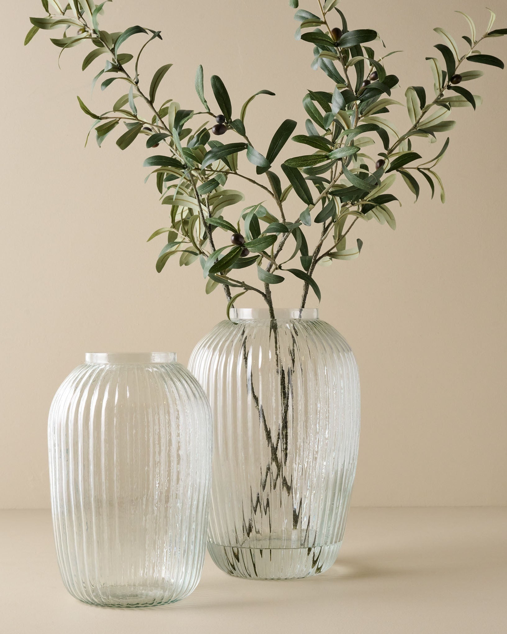 Olive Leaf Stem