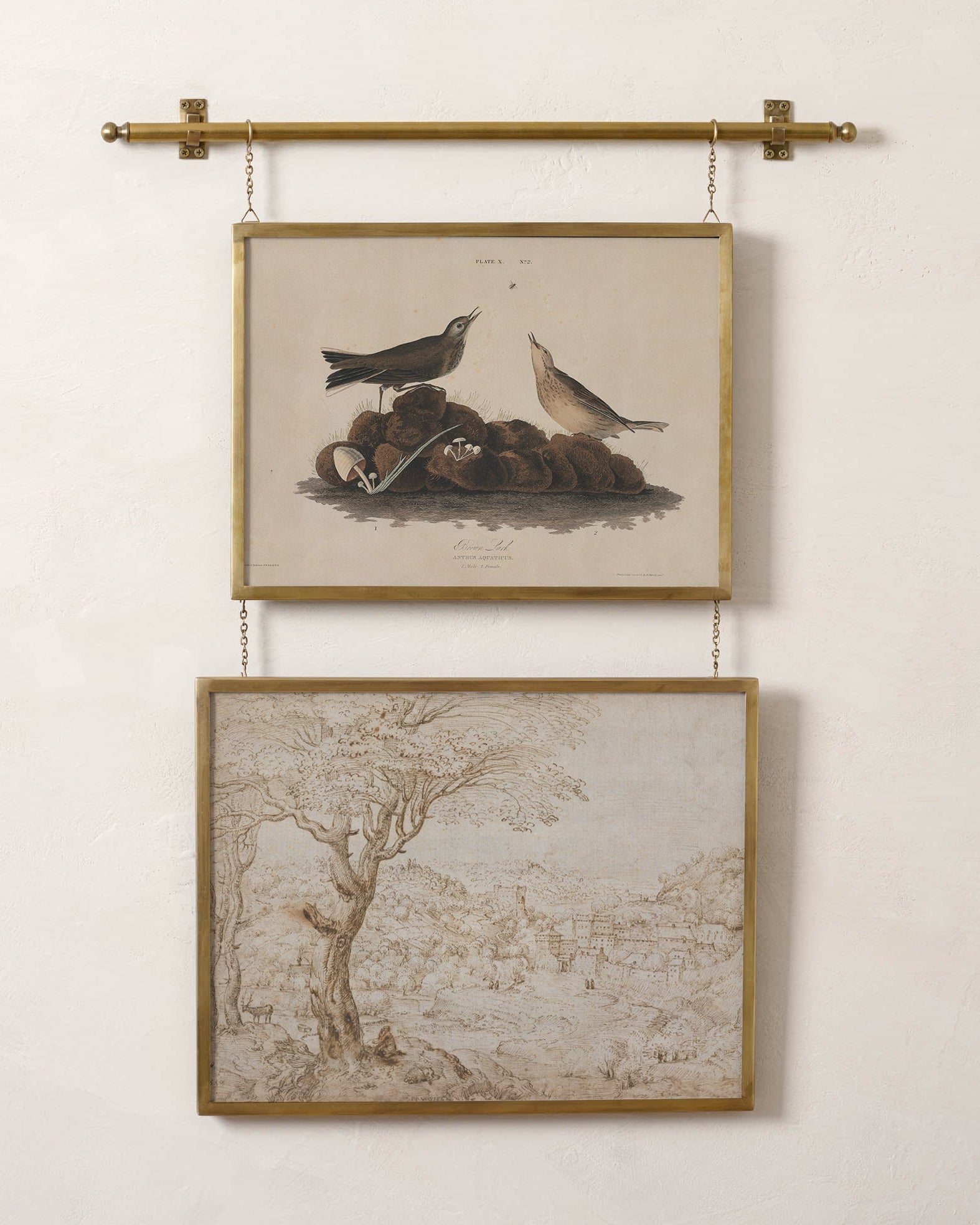 Colleen Brass Rail Double Picture Frame