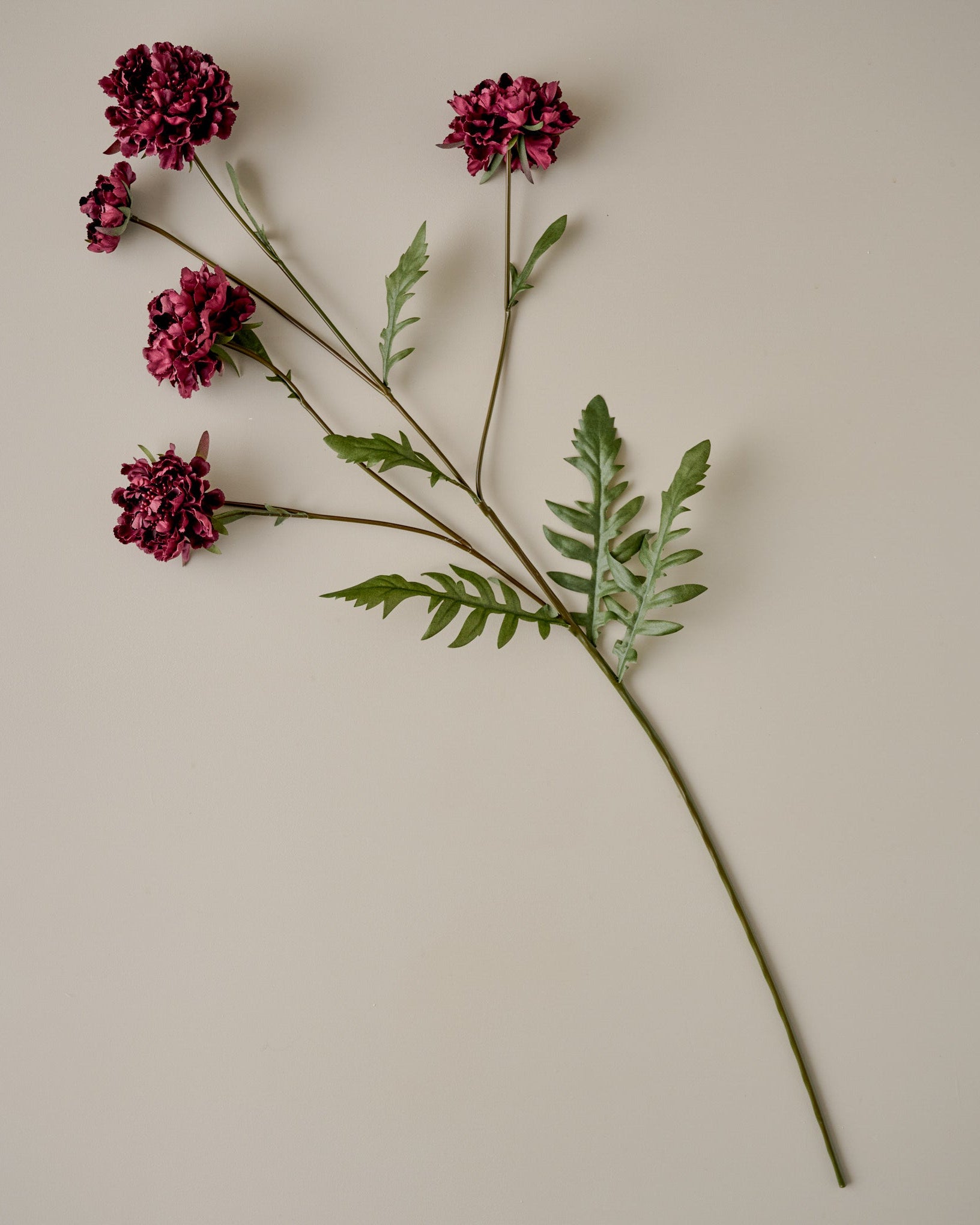 Real Touch Red Velvet Scabiosa Stem