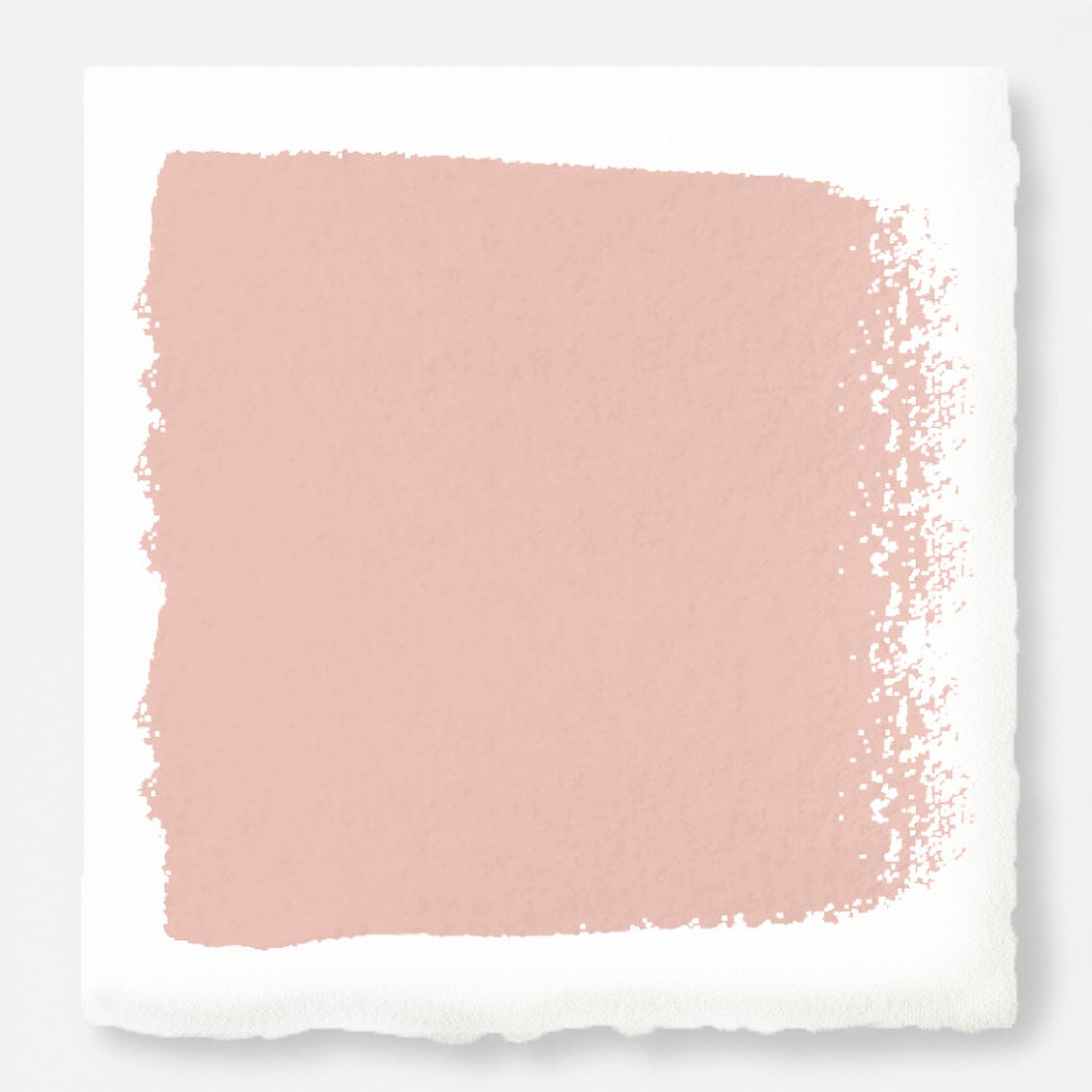 Cabbage Rose -  Classic Interior Paint