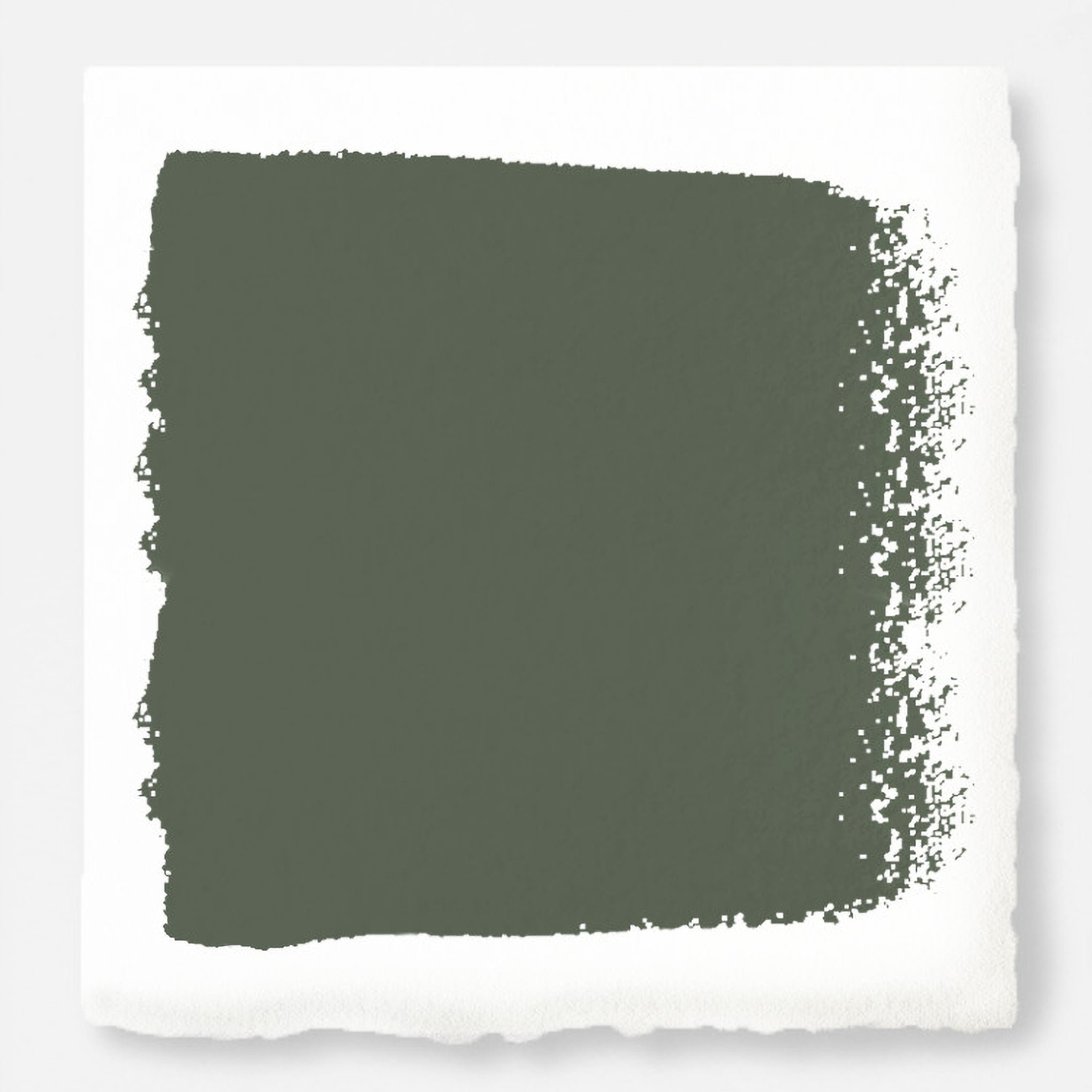 Lemon Leaves -  Classic Interior Paint