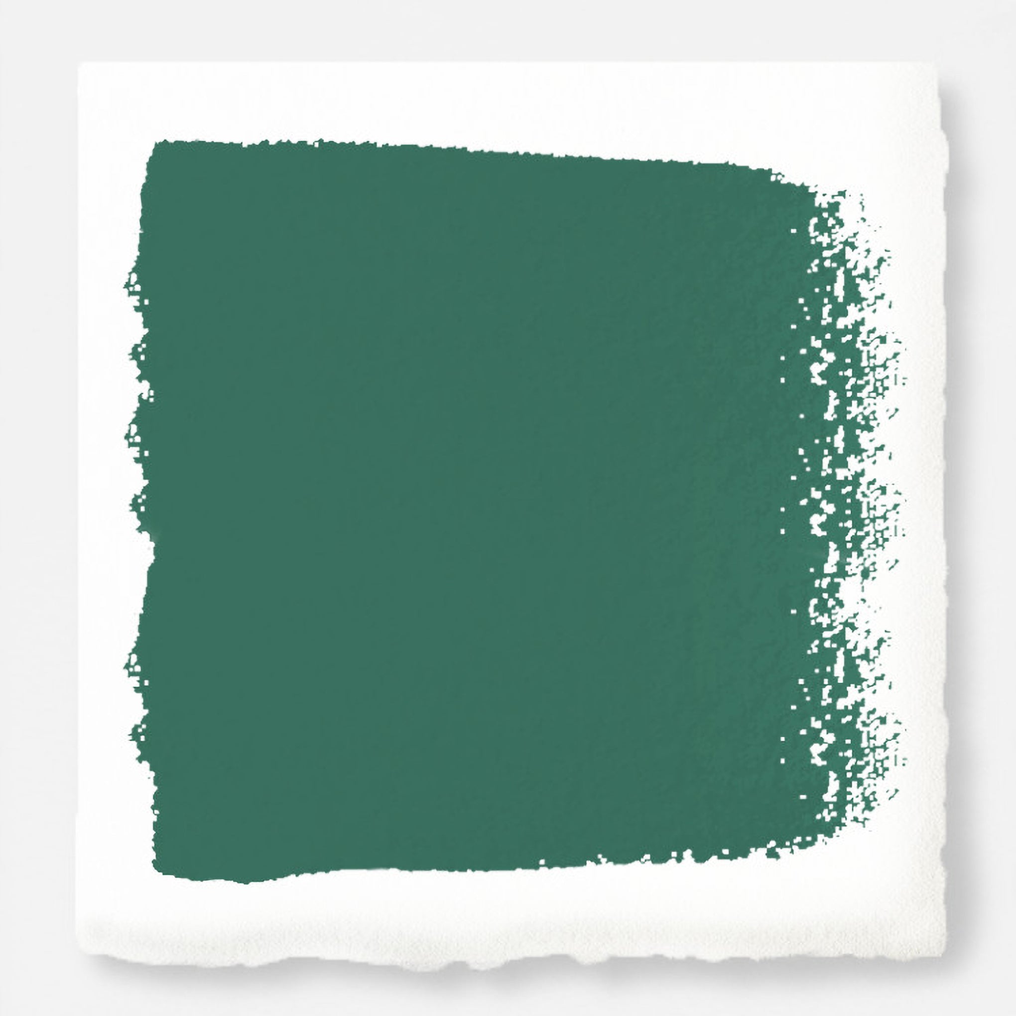 Aspen Leaf -  Classic Interior Paint