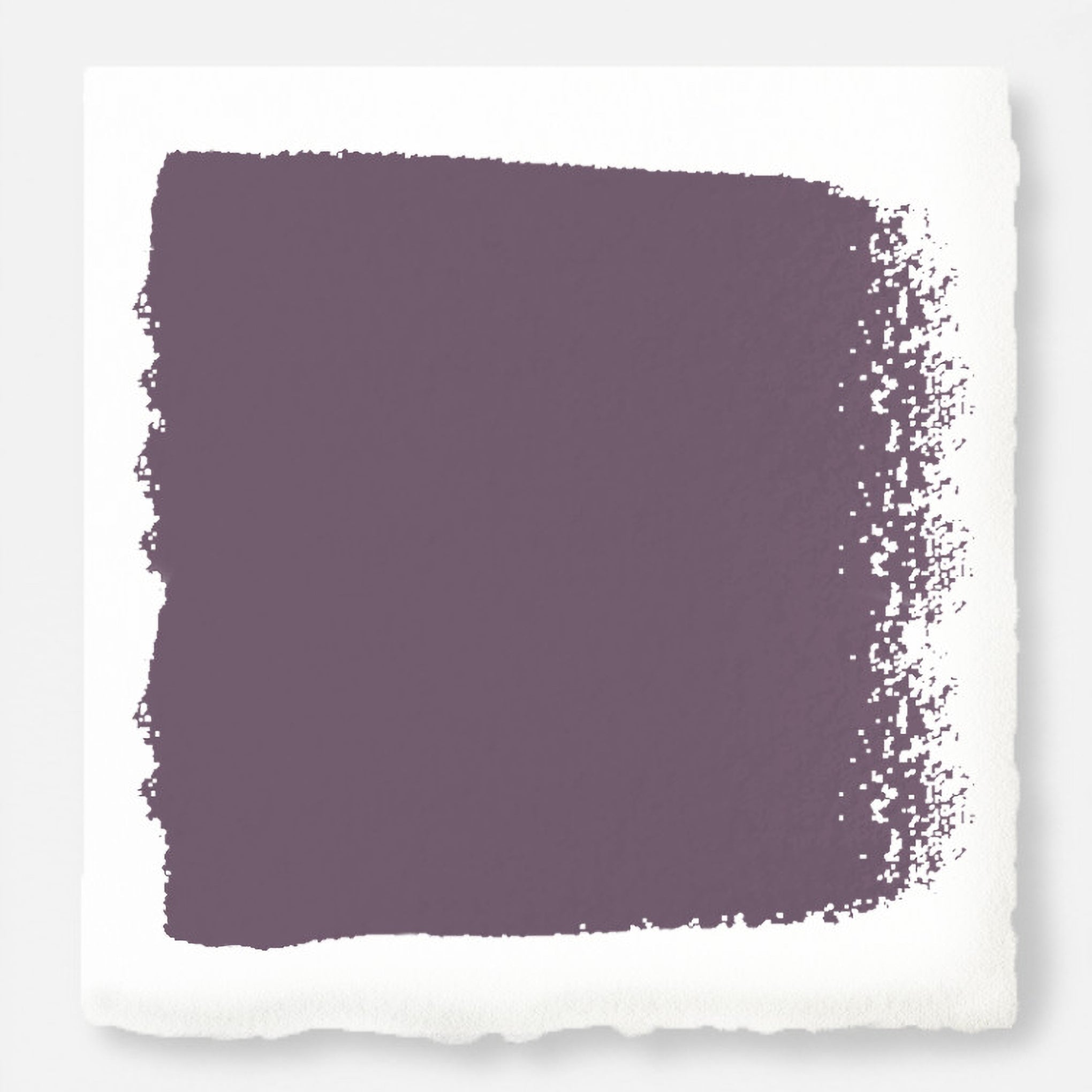 Webster Avenue -  Classic Interior Paint