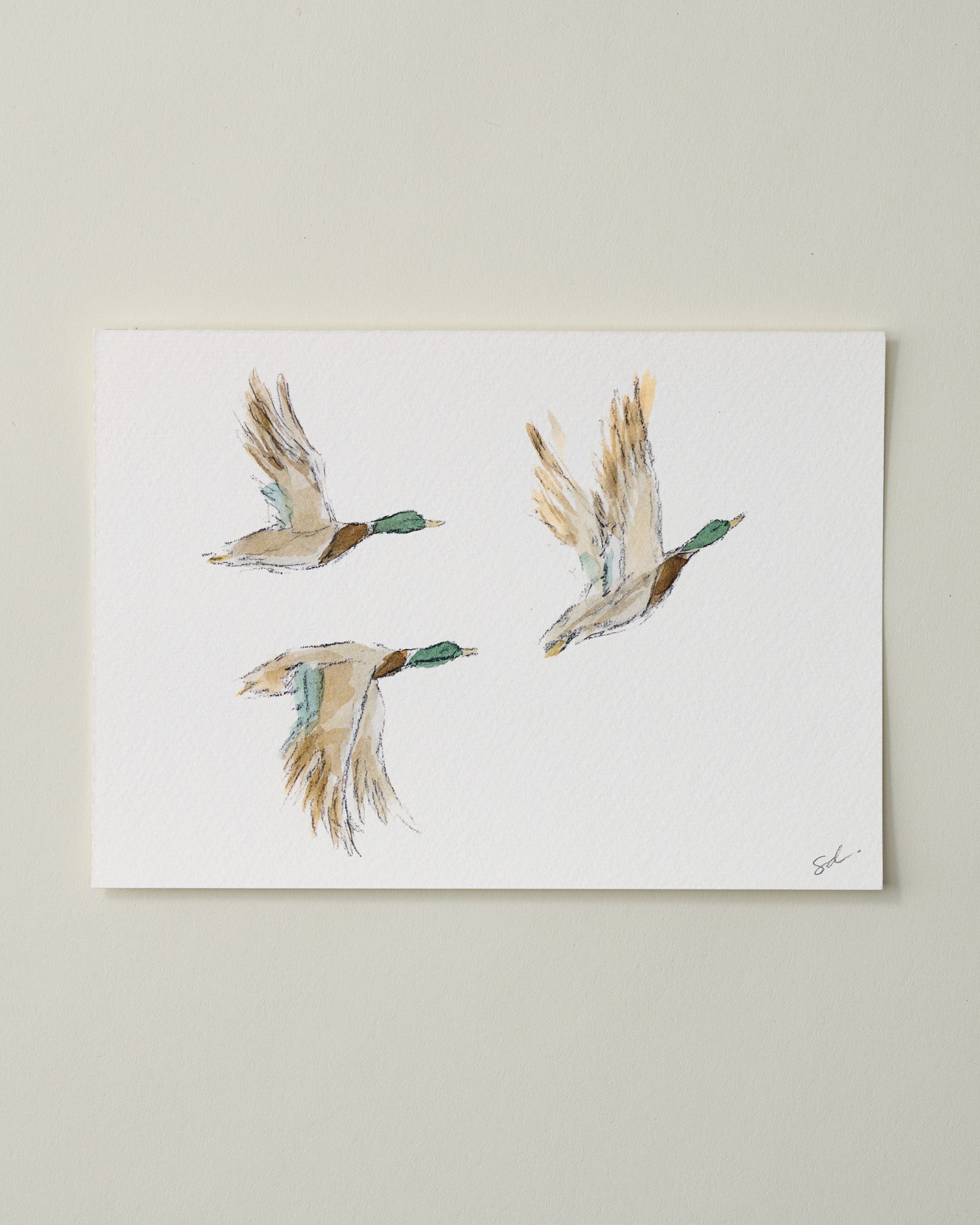 Mallards in Flight II Fine Art Print - 5 x 7