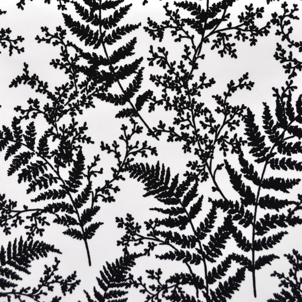 Forest Fern Wallpaper