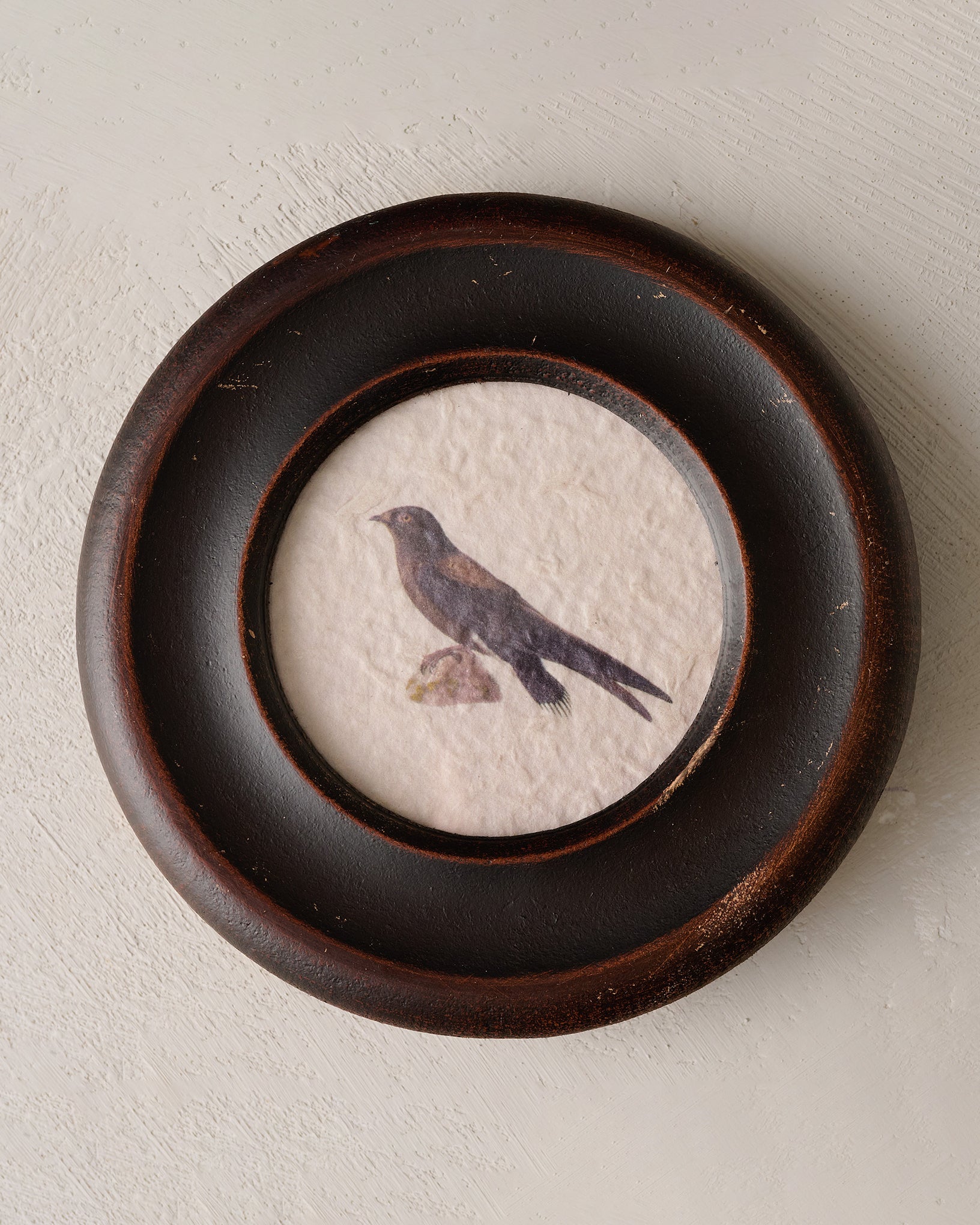 Vintage Framed Bird Print